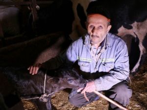 Geçirdiği Kaza İle Gözlerini Kaybetti, Yaşam Sevincini Kaybetmedi