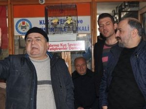 "Var Mı Arttıran...satıyorum, Saattım"