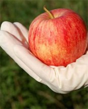 Meyve kabuğunda büyük tehlike