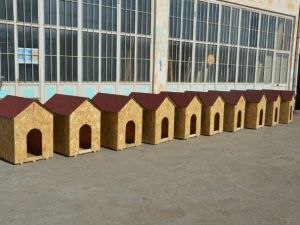 Hayvanseverlerden Sokak Köpekleri İçin 10 Adet Kulübe