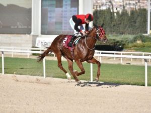 Tsyd İzmir Koşusu’nu “İlkaan” Kazandı