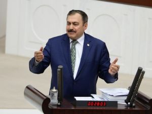 Türkiye’de Orman Varlığı Artıyor