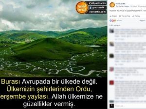 Aybastı Yayla Fotoğrafı Rekora Koşuyor