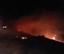 Isırlık'ta Korkutan Yangın!