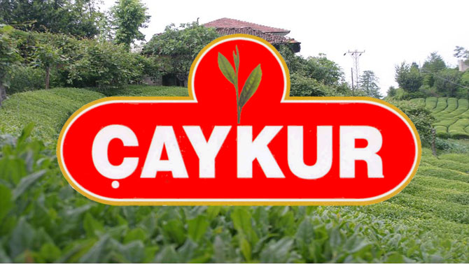 Çaykur'da 1 Kişi Tutuklandı. 48 Kişi Açığa Alındı