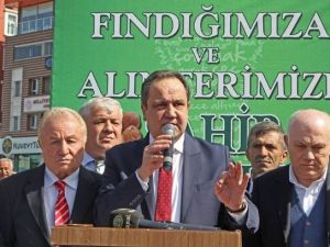 Giresun’dan Fındık Haykırışı