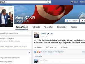 Belediye Önüne İncir Ağacı Diken Chp’lilere Esprili Gönderme