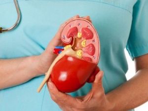 Prof.dr Soner Duman, Böbrek Sağlığı Konusunda Uyarılarda Bulundu