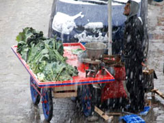 Rize'de Satıcılar Umutlu