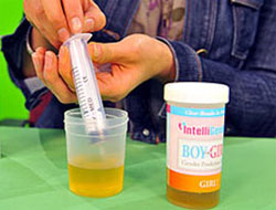 Cinsiyet Testine Yasak Geldi, Doğacak Bebeğin Cinsi Öğrenilemeyecek!