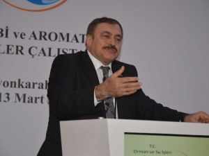 Bakan Eroğlu, ’Tıbbi Ve Aromatik Bitkiler Çalıştayı’na Katıldı