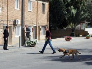 Kktc’de Bomba Paniği
