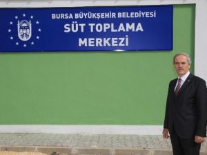 Bursa Büyükşehir Belediyesi’nden Süt Üreticisine Destek