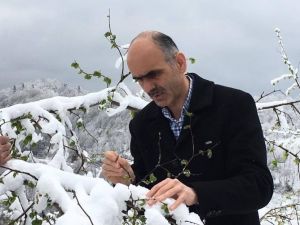 Fındıkta Don Tehlikesi Üreticiyi Tedirgin Etmeye Başladı