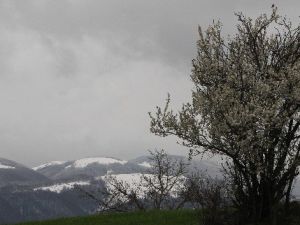 Dağlara Kar Yağdı, Ovadakiler Tedirgin Oldu