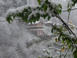 Rize’de Soğuk Hava ve Kar Yağışı Yüksek Kesimlerde Etkili Oluyor