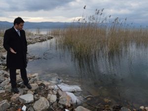 İznik Gölü’ndeki Kirlilik Meclis Gündeminde