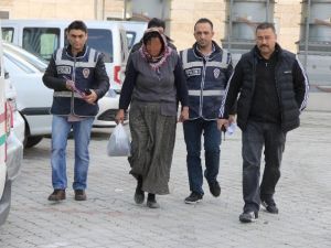 Levha Hırsızlığına Tutuklama