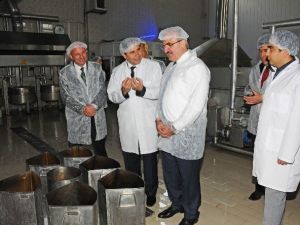 Kestane Şekerine Standart Geliyor