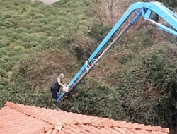 Mandalinaları Vinç ile Topladılar - VİDEO