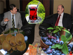 Çaya Alternatif Aranıyor!