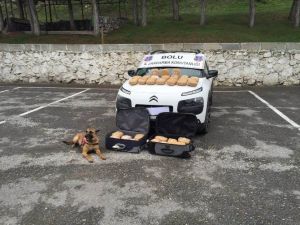 Bolu’da Jandarmadan Otomobil Ve Kamyona Operasyon