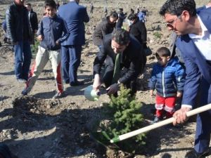 Tokat’ta Şehitler Hatıra Ormanı