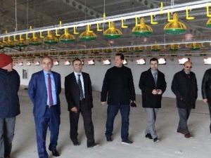Düzce’de Hibe Yatırımları Meyvelerini Veriyor