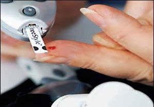 Çam çırası, şeker hastalarına umut oldu