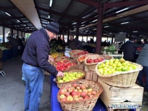Sağlıklı Yaşam Tutkunları Ekolojik Pazarda Buluşuyor