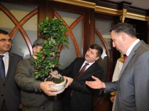 21 Mart Dünya Ormancılık Günü Trabzon’da Kutlanıyor