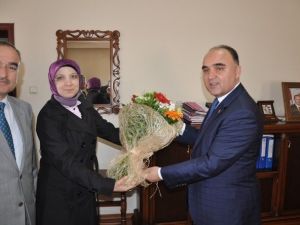 Kastamonu’da Ormancılık Haftası Kutlaması Başladı