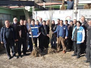 Gümüşhane’de Çiftçilere Meyve Fidanı Dağıtımı Yapıldı