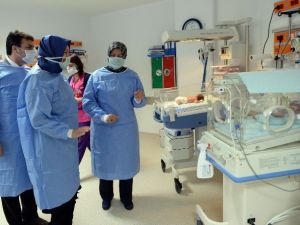 Beşizlerin Mama Ve Bezleri Osmangazi’den