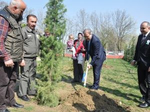 Renkli Orman Haftası Kutlaması