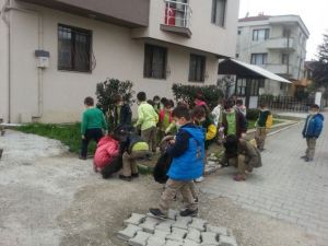 Büyüklerin Attığı Çöpü Minikler Temizledi