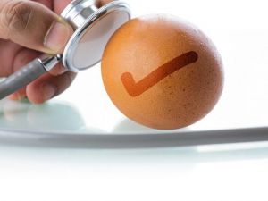 Diyetisyen Işın Sayın: ”En Sağlıklı Yumurta, Tam Pişmiş Yumurtadır”