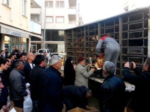 Giresunlu Çiftçilere 500 Adet Tavuk Dağıtıldı