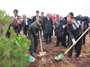 Kastamonu’da Ormancılık Haftası Kutlandı