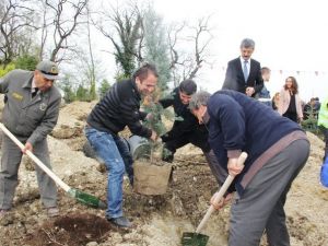 Gazeteciler Fidan Dikti, Protokol Çekim Yaptı