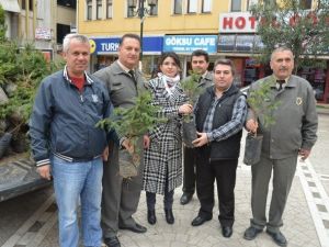 Fatsa’da 5 Bin Fidan 15 Dakika İçinde Tükendi