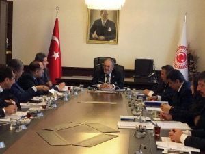 Meclise Bitkisel Çitli Güvenlik Duvarı