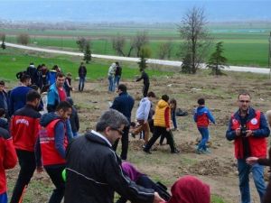 Amasyalı Gençler 600 Fidan Dikti