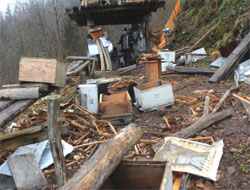 Ayının dokunulmazlığı zarar veriyor!