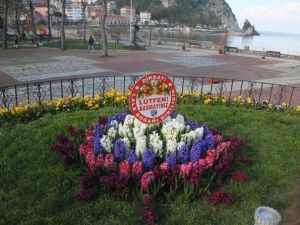 Amasra Çiçek Açtı