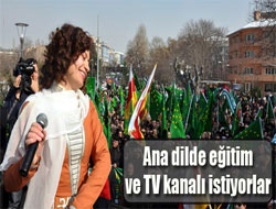 Çerkesler anadilde eğitim ve TV istedi