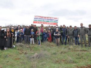 Berberler Fidan Dikti