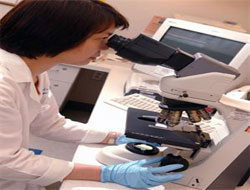 Kansere verem mikrobuyla tedavi