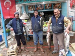 Vatandaşlar Bu Balıkların Yanına Yaklaşamıyor