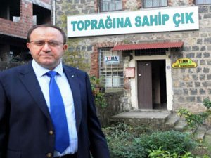 Rize'de Çay Tarımında Yanlış Gübreleme Yapılıyor